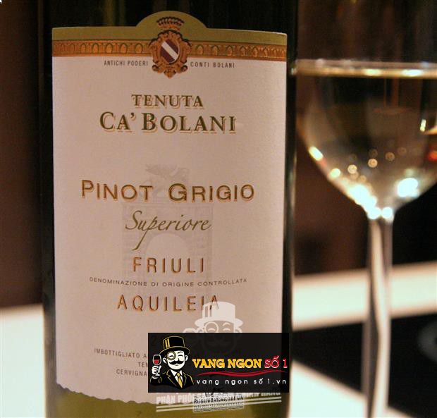 Vang Ý Tenuta Cabolani