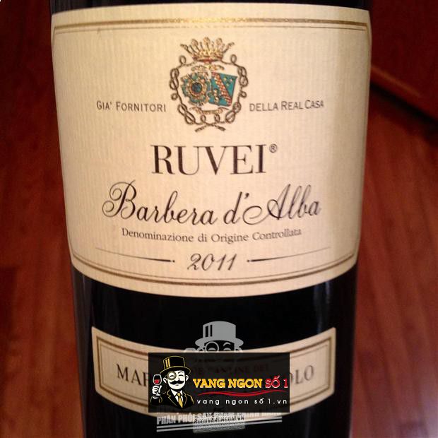 Vang Ý Ruvei Barbera d
