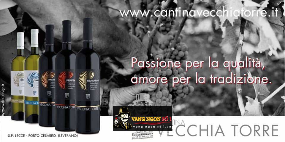 Vang Ý Vecchia Torre Negroamaro