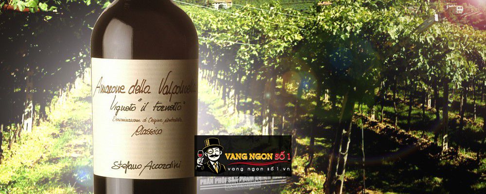 Vang Ý Amarone della Valpolicella Il Fornetto Stefano Accordini