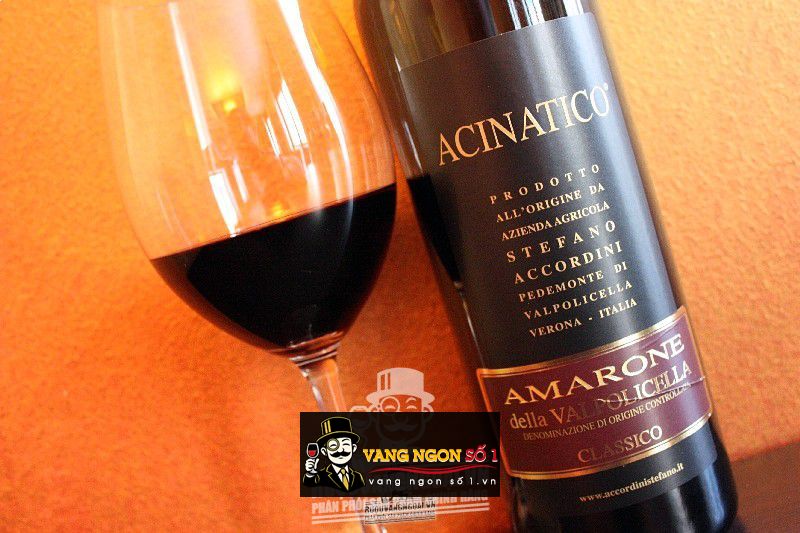 Vang Ý Acinatico Amarone Della Valpolicella