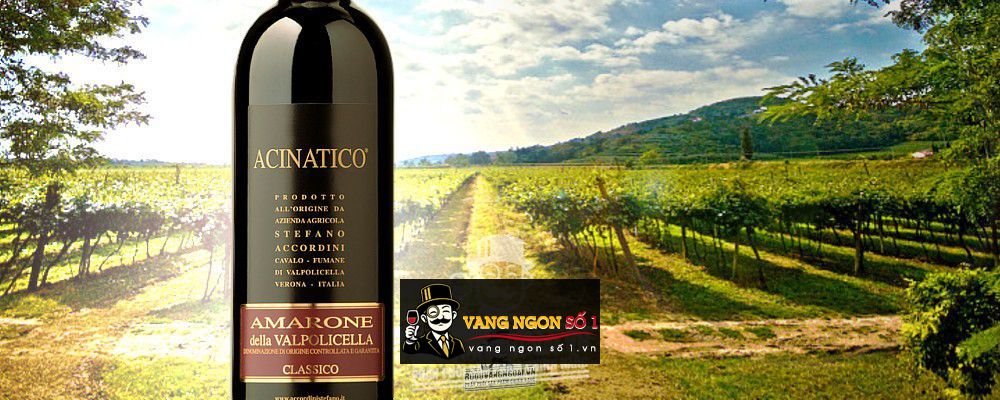 Vang Ý Acinatico Amarone Della Valpolicella