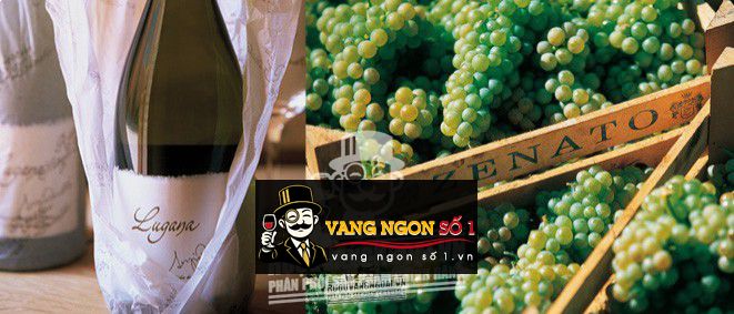 Vang Ý Lugana Zenato Riserva