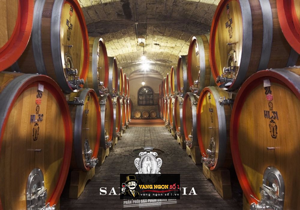 Vang Ý Santa Sofia Gioe Amarone Classico