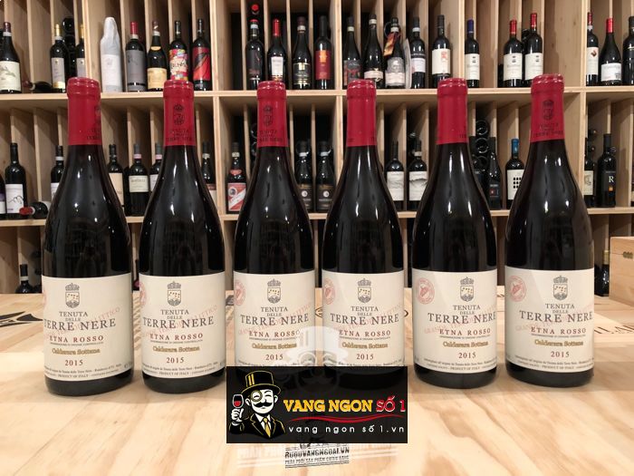 Vang Ý Tenuta delle Terre Nere Red