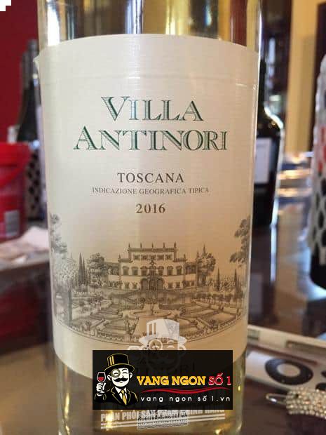 Vang Ý Antinori Villa Antinori Bianco Toscana