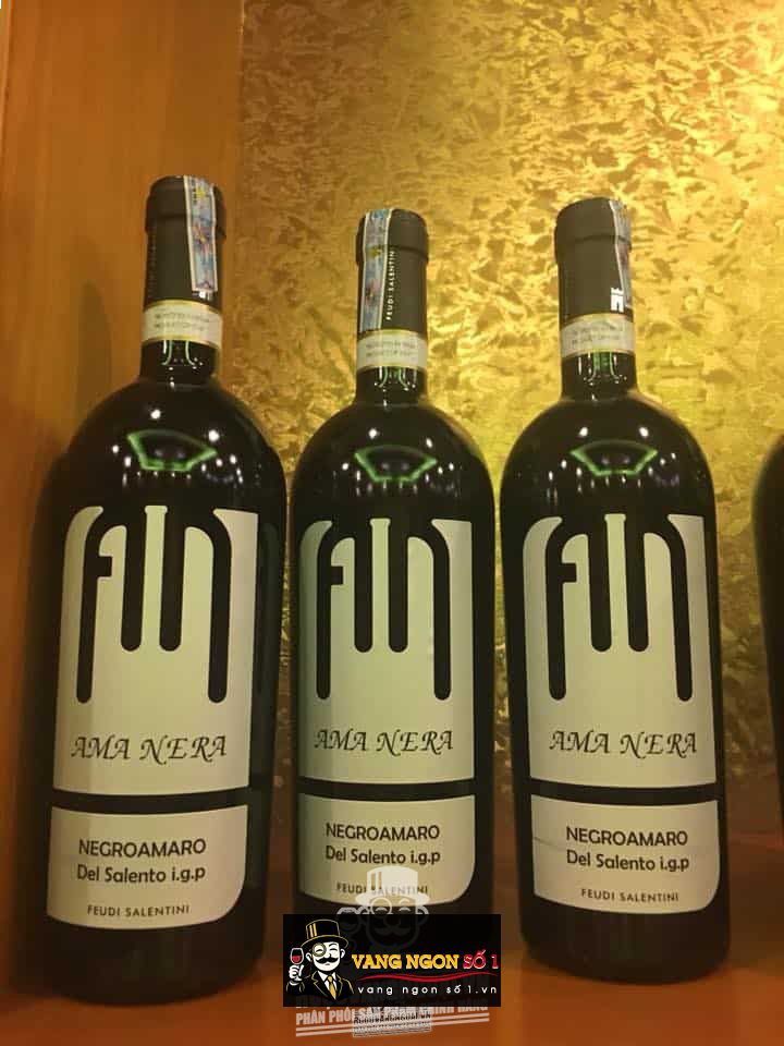 Rượu vang Ý Ama Nera Negroamaro del Salento
