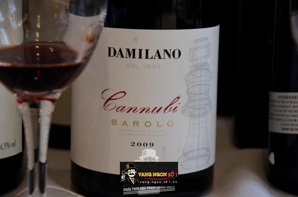 Rượu vang Ý Damilano Barolo Cannubi