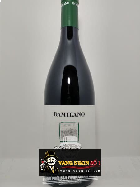 Vang Ý Damilano Langhe Nebbiolo Marghe