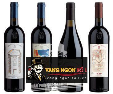 Rượu vang Michele Chiarlo Barolo