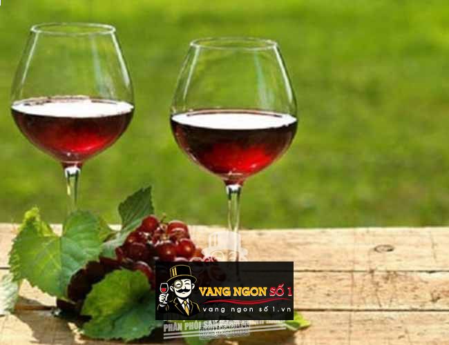 Rượu Vang Ý Le Masserie