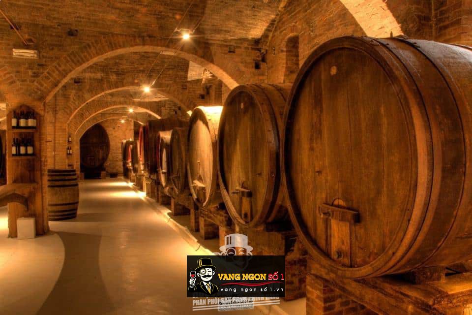 Vang Trắng Dezzani Roero Arneis Monfrigio