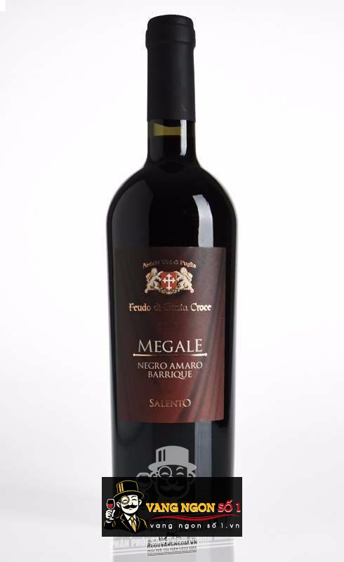 Vang Ý Megale 2014 NegroAmaro Salento Tinazzi