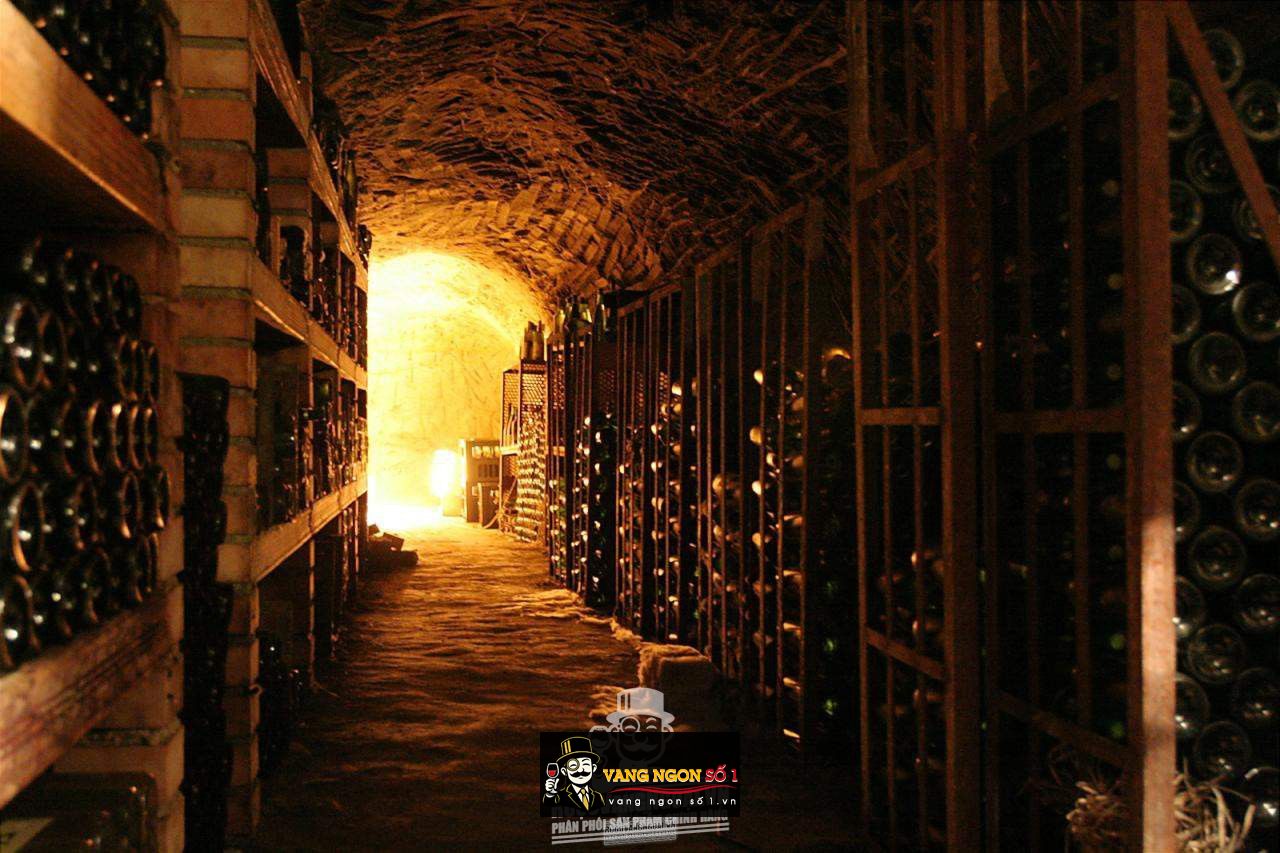 Vang Ý Megale 2014 NegroAmaro Salento Tinazzi