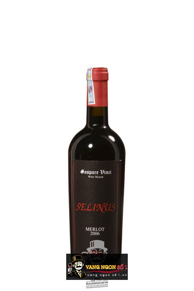 Vang Ý Selinus Merlot 2006