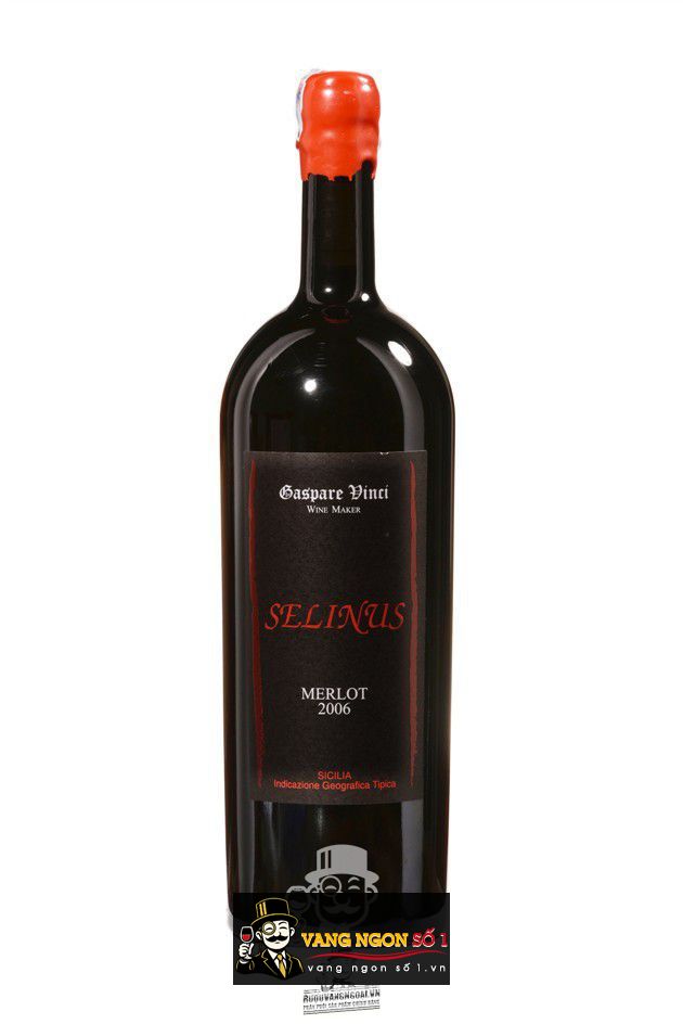 Vang Ý Selinus Merlot 2006