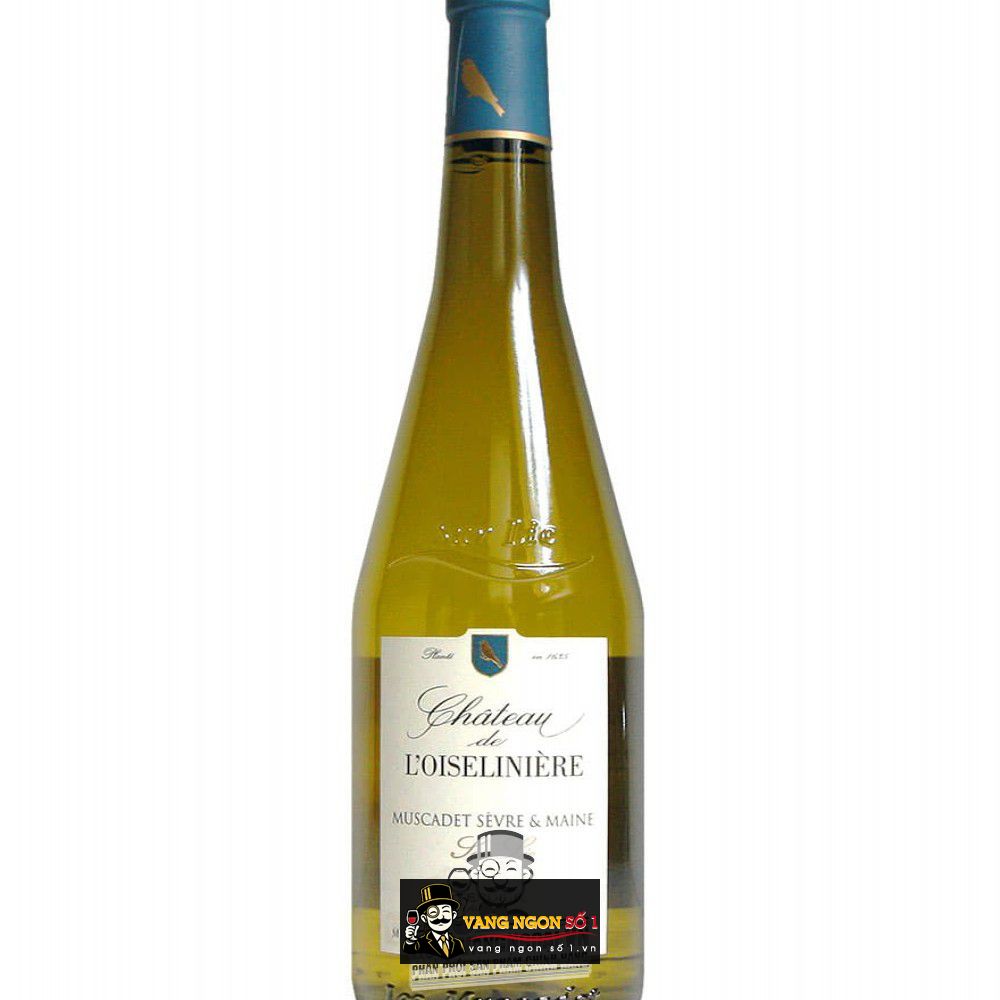 Địa chỉ bán vang phap muscadet sevre et maine sur lie giá rẻ nhất