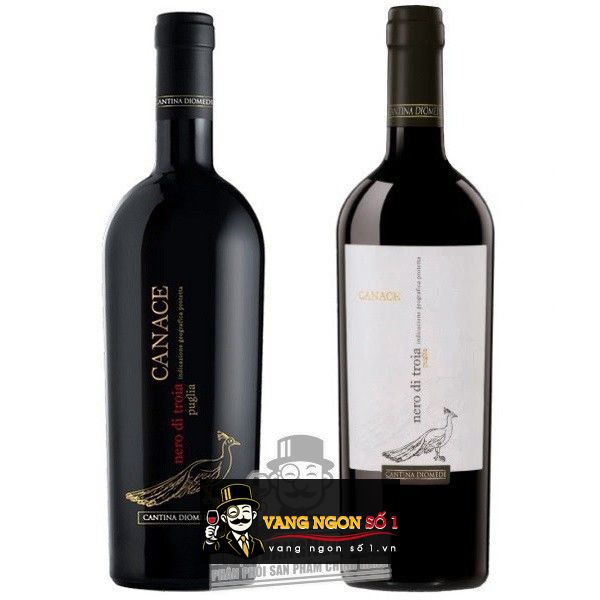 vang canace biếu tết