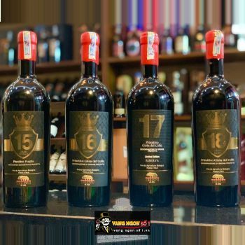 Vang Ý 16 PISCINA PRIMITIVO GIOIA DEL COLLE TREPINI bn2