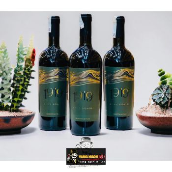 Rượu vang Ý 1919 Anno Domini bn1