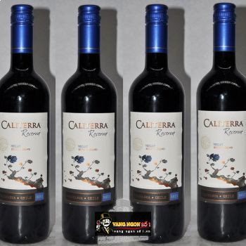 Vang Chile CALITERRA Reserva Merlot bn1