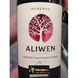 Vang Chile UNDURRAGA ALIWEN Cabernet Sauvignon bn1