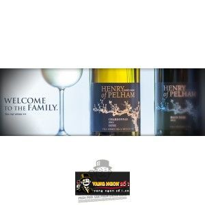 Vang Canada HENRY OF PELHAM VIDAL ICEWINE bn1