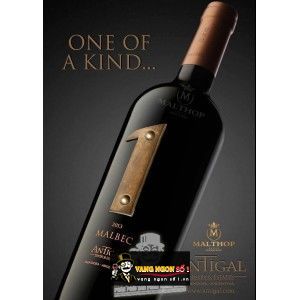 Vang Argentina 1 Malbec Antigal bn2