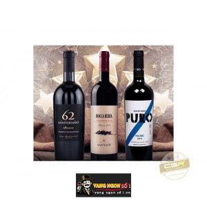 Rượu Vang ý 62 Anniversario bn3