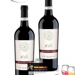 Vang ý Falò Malvasia Nera bn2