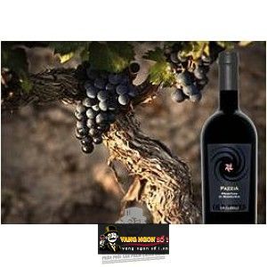 Vang ý PAZZIA Primitivo di Manduria bn4