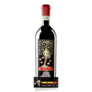 Vang Ý AMARONE MATER