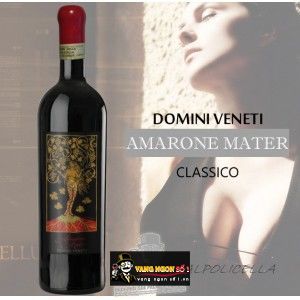 Vang Ý AMARONE MATER bn1