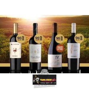 Vang Chile UNDURRAGA TH SYRAH bn1