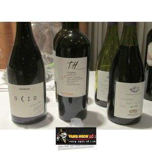 Vang Chile UNDURRAGA TH SYRAH bn2