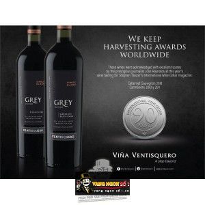 Vang chile Ventisquero Grey Carmenere bn1