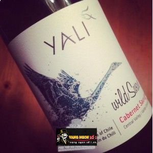 Vang Chile Yali Wild Swan cabernet Sauvignon bn1