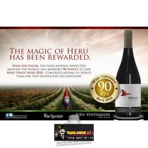 Vang Chile Ventisquero Herú Pinot Noir bn1