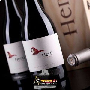 Vang Chile Ventisquero Herú Pinot Noir bn3