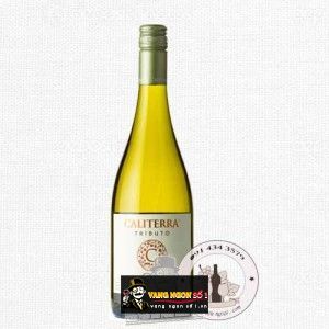 Vang Chile CALITERRA Tributo Chardonnay