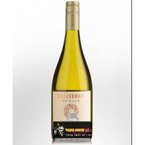 Vang Chile CALITERRA Tributo Chardonnay bn1