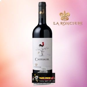 Vang Chile Cantoalba Shiraz