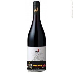 Vang Chile Cantoalba Shiraz bn1