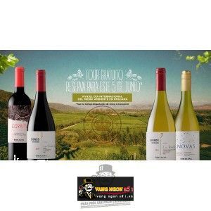 Vang Chile EMILIANA SIGNOS De Origen Chardonnay bn1