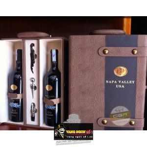 Vang Mỹ NAPA VALLEY 99 Cabernet Sauvignon bn1