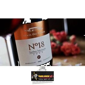 Vang Tây Ban Nha No18 Venta Del Puerto bn2