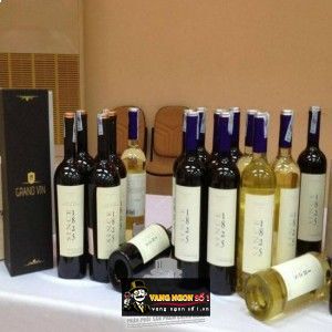 Vang Chile Since 1825 Gran Reserva Cabernet Sauvignon bn2