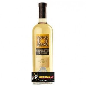 Vang Chile Espiritu De Chile Gran Reserva Sauvignon Blanc bn1