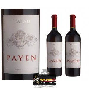 Vang Chile TABALI PAYEN bn1