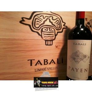 Vang Chile TABALI PAYEN bn2